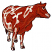 C1: Nose & Hooves---Tea Rose(Isacord 40 #1015)&#13;&#10;C2: Tail & Eye---Cinnamon(Isacord 40 #1247)&#13;&#10;C3: Cow---Muslin(Isacord 40 #1082)&#13;&#10;C4: Cow Shading---Tan(Isacord 40 #1054)&#13;&#10;C5: Cow Spots---Spice(Isacord 40 #1181)&#13;&#10;C6: