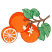 C1: Leaves---Bright Mint(Isacord 40 #1510)&#13;&#10;C2: Oranges---Tangerine(Isacord 40 #1078)&#13;&#10;C3: Leaf Outline---Pear(Isacord 40 #1049)&#13;&#10;C4: Flower & Rind---Muslin(Isacord 40 #1082)&#13;&#10;C5: Orange Shading---Clay(Isacord 40 #1021)&#13