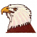 C1: Eye & Beak---Candlelight(Isacord 40 #1137)&#13;&#10;C2: Highlight---Canary(Isacord 40 #1124)&#13;&#10;C3: Body---Redwood(Isacord 40 #1057)&#13;&#10;C4: Feathers---White(Isacord 40 #1002)&#13;&#10;C5: Outline & Detail---Black(Isacord 40 #1234)