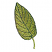 C1: Leaf---Lima Bean(Isacord 40 #1177)&#13;&#10;C2: Outline---Evergreen(Isacord 40 #1208)