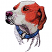 C1: Nose & Muzzle Shading ---Pecan(Isacord 40 #1128)&#13;&#10;C2: Head, Muzzle & Neck---White(Isacord 40 #1002)&#13;&#10;C3: Muzzle & Throat Shading---Muslin(Isacord 40 #1082)&#13;&#10;C4: Eyes---Bark(Isacord 40 #1186)&#13;&#10;C5: Face & Ears---Spice(Isa
