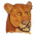 C1: Eyes---Goldenrod(Isacord 40 #1137)&#13;&#10;C2: Lioness---Sisal(Isacord 40 #1055)&#13;&#10;C3: Muzzle---Oat(Isacord 40 #1127)&#13;&#10;C4: Fur---Candlelight(Isacord 40 #1137)&#13;&#10;C5: Lioness Shading---Golden Grain(Isacord 40 #1126)&#13;&#10;C6: M