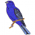 C1: Beak---Sterling(Isacord 40 #1011)&#13;&#10;C2: Branch---Pecan(Isacord 40 #1128)&#13;&#10;C3: Bird---Nordic Blue(Isacord 40 #1076)&#13;&#10;C4: Shading---Venetian Blue(Isacord 40 #1112)&#13;&#10;C5: Feet---Cobblestone(Isacord 40 #1219)&#13;&#10;C6: Win