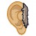 C1: Ear---Cornsilk(Isacord 40 #1055)&#13;&#10;C2: Ear Shading---Toffee(Isacord 40 #1126)&#13;&#10;C3: Ear Outlines---Honey Gold(Isacord 40 #1025)&#13;&#10;C4: Fur---Ivory(Isacord 40 #1149)&#13;&#10;C5: Fur Shading---Pecan(Isacord 40 #1128)&#13;&#10;C6: Fu