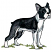 C1: BGrass---Lima Bean(Isacord 40 #1177)&#13;&#10;C2: Dog Underside---White(Isacord 40 #1002)&#13;&#10;C3: Dog Underside Shading---Blush(Isacord 40 #1113)&#13;&#10;C4: Dog---Charcoal(Isacord 40 #1234)&#13;&#10;C5: Dog Highlights & Underside Shading---Smok