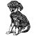 C1: Dog---Charcoal(Isacord 40 #1234)&#13;&#10;C2: Dog Shading & Outlines---Black(Isacord 40 #1234)
