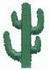 1" Cactus