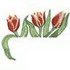 Tulip Pocket Topper