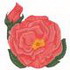 Candelabra Rose