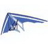 Hang Glider Logo 99