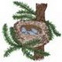 Cedar Waxwing Nest