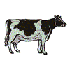 HOLSTEIN COW