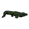 ALLIGATOR