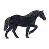 PERCHERON HORSE