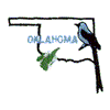 OKLAHOMA OUTLINE & BIRD