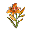 DAY LILY