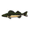 WALLEYE