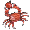 CRAB WITH ORNAMENT