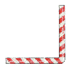 CANDY CANE
