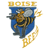 BOISE BEE NOSE ART