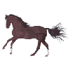 HORSE(LG)