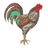 ROOSTER