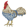 ROOSTER