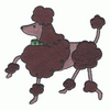 POODLE WITH COLLAR