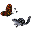 BUTTERFLY WITH SQUIRREL