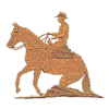 REINING HORSE