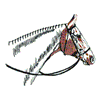 HORSE PROFILE