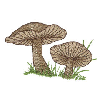 MUSHROOMS