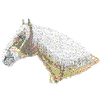 BELGIAN DRAFT HORSE