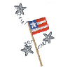 FLAG AND STARS