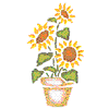 POTTED SUNFLOWERS