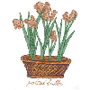 POTTED BULBS