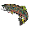 BROOK TROUT