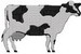 Cow01