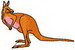 Kangaroo01