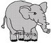 Elephant11 2