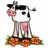 Cow in the Flowers