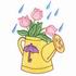 Watering Can in the Rain