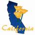 California - California Poppy