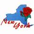 New York - Rose