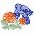 Indigo Bunting & Zinnias