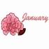 January - Carnation & Garnet