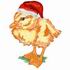 Christmas Ducky