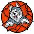 Huskies Basketball