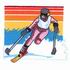 Paralympic Skier