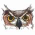 Horned Owl Eyes